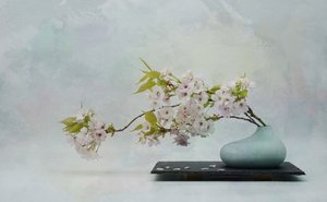 Zen Blossom Still Life by Saskia Dingemans