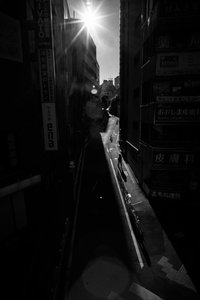 Urban Path in Sunlight
