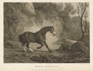 Horse starting by Sawrey (after) Gilpin