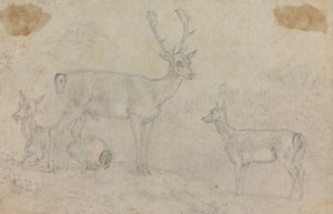 A Buck and Two Deer by Sawrey Gilpin