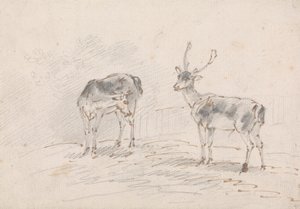 Doe and Buck by Sawrey Gilpin