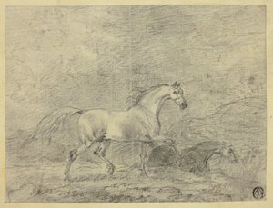 Horses