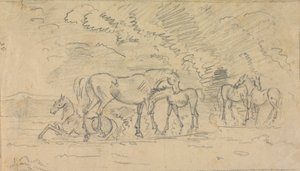 Horses in a Meadow by Sawrey Gilpin
