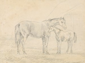 Mare with Foal by Sawrey Gilpin