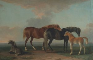 Mares and Foals, Facing Right by Sawrey Gilpin