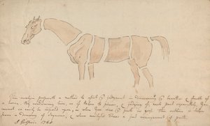 Parts of the Properly Proportioned Horse by Sawrey Gilpin