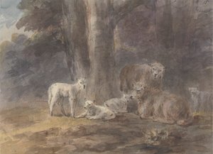 Sheep under a tree by Sawrey Gilpin
