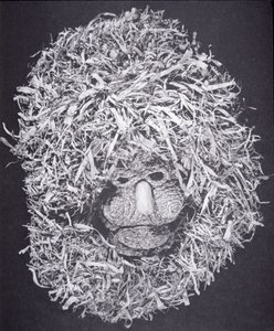 Iroquois Mask