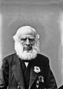 Portrait of an Elderly Man