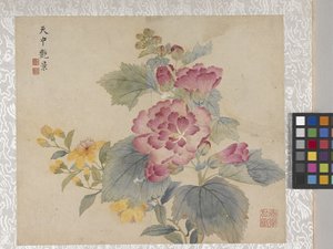 8 Leaf Album Of Flowers