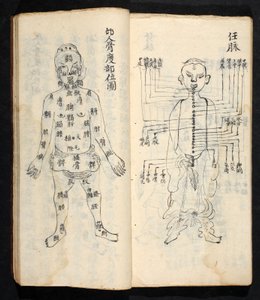 Acupuncture points along the central line of the body, from Jing Guan Qi Zhi, 