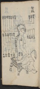 Acupuncture Points Along the Spine and Head, from Jing Guan Qi Zhi, 