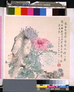 Album of Flowers and Birds