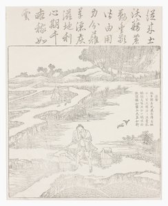 Fertilizing the Rice Seedlings