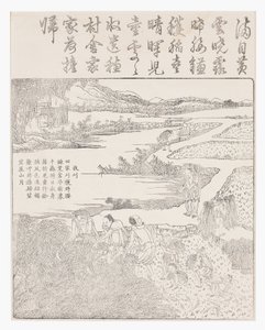 Harvesting Rice