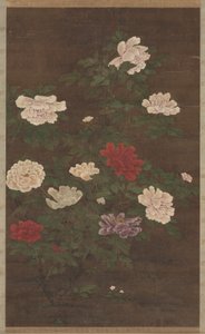 Peonies by School Chinese
