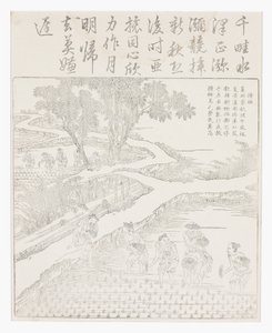 Planting the Rice