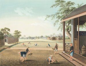 Tea production, c. 1820
