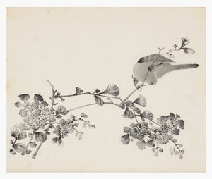 Ten Bamboo Series