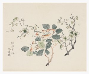 Ten Bamboo Series
