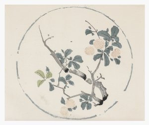 Ten Bamboo Series