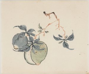 Ten Bamboo Series