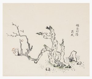 Ten Bamboo Series