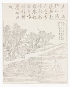 Tilling Rice Paddy in Dry Weather