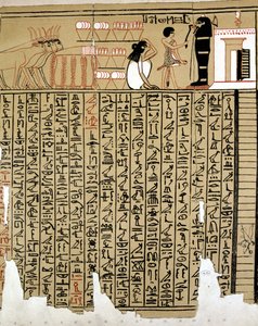 Egyptian Hieroglyphs