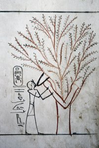 Luxor, Thebes: Valley of the Kings. Tomb of Thutmosis III (-1504 - -1450), Pharaoh of Egypt by School Egyptian