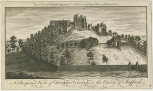 Dudley Castle by School English