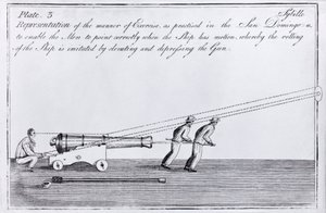 Plate 3 - 