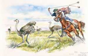 Argentina - herdsmen hunting rheas in the Pampas