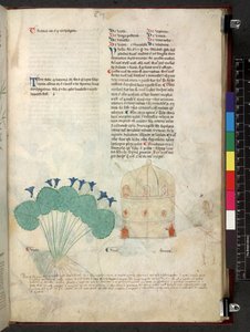 Tractatus de herbis (Herbal)