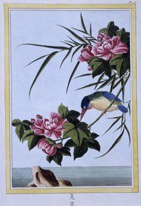 Kingfisher - Japanese Print