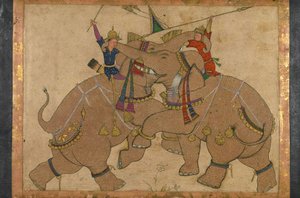 Elephant Combat by School Mughal