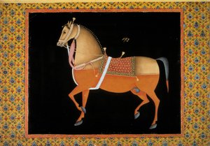 Moghol art: representation of a stallion by School Mughal
