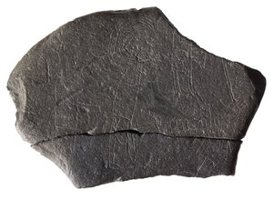Hostage Stone, from the Early Medieval Island Monastery, Inchmarnock, Bute, Scotland, c.8th-9th Century AD by Scottish School