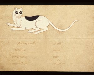 Leaf of a Manuscript on Siamese Cats, Early 20th Century by School Thai
