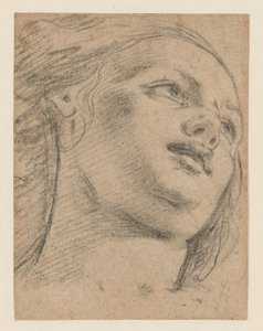 Female Head Study Looking Up to Right (recto); Study of Two Figures Supporting an Object (verso) by School of Guido Reni