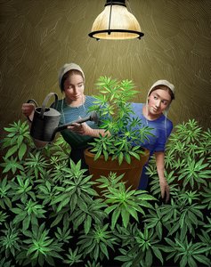 Grow by Scott McKowen