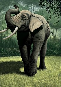 The Jungle Book