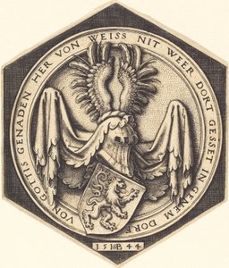 Coat of Arms with a Lion