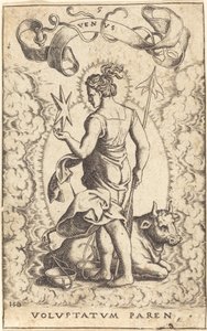 Venus by Sebald Beham