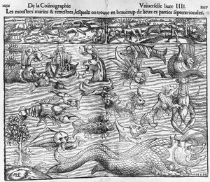 Sea and terrestrial monsters by Sebastian Munster