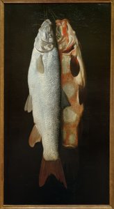 Fish Still Life by Sebastian Stosskopf