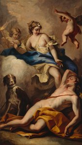 Diana and Endymion
