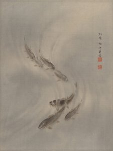 School of Fishes