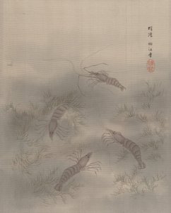 Shrimp Ebi, ca. 1890-92 by Seki Shuko