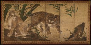 Tiger and Leopard